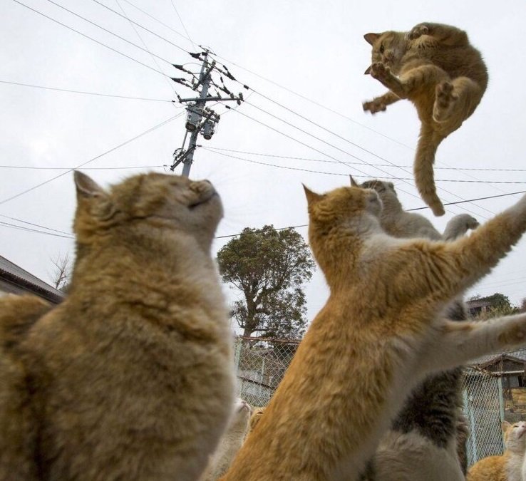 3DA976F1-D227-4F53-952B-9FAE1EE7FC56