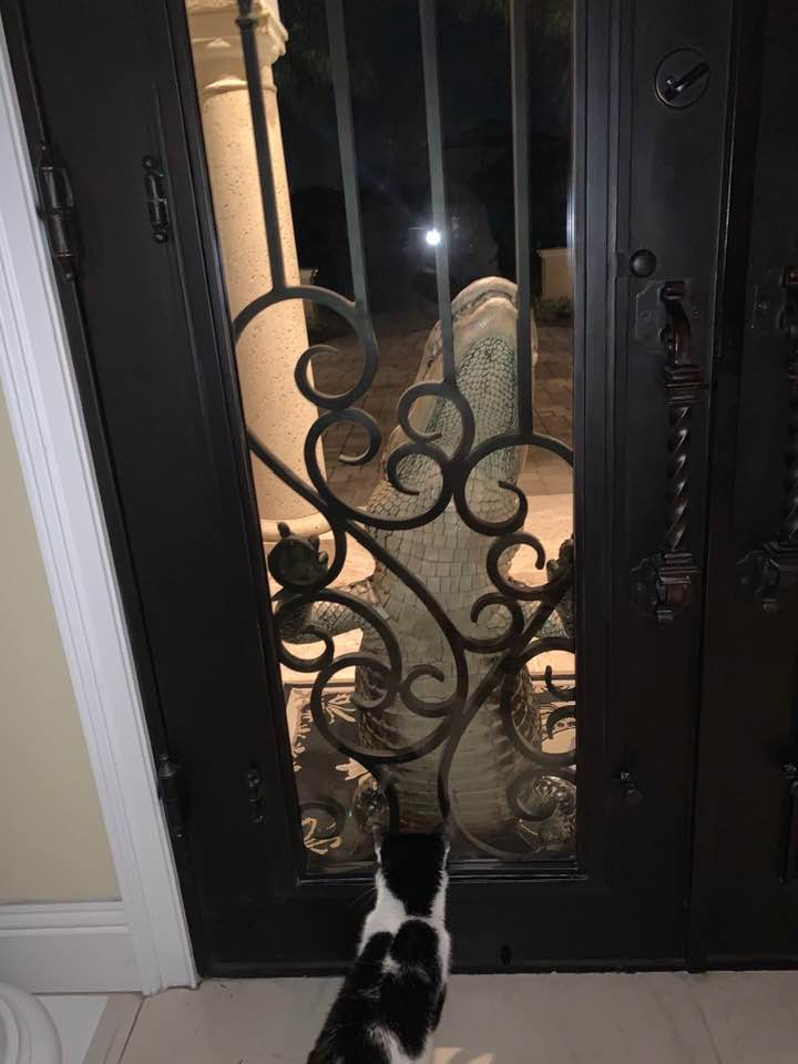 87C5FA6D-046D-4548-B1B9-6376DA224520