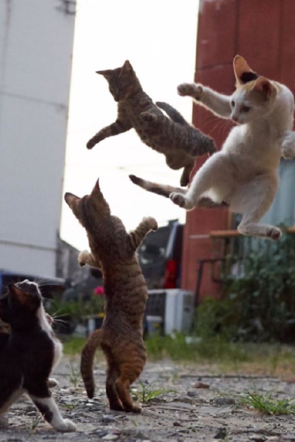 E8500736-2B1A-4AE8-B6BF-281BEC5F1AE2