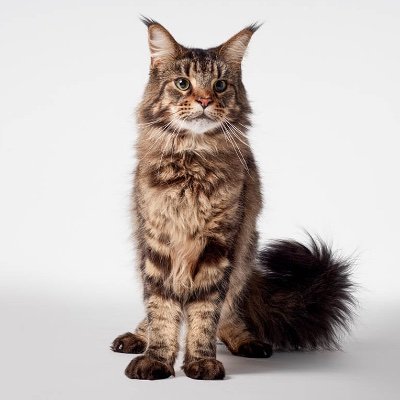 F4BD022E-AACD-4770-A890-155EEFF79B52