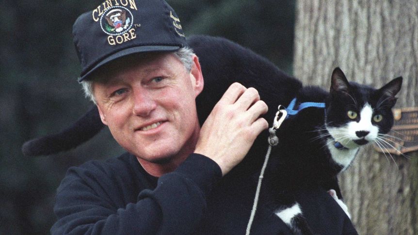 New Administration, New White House&nbsp;Cat