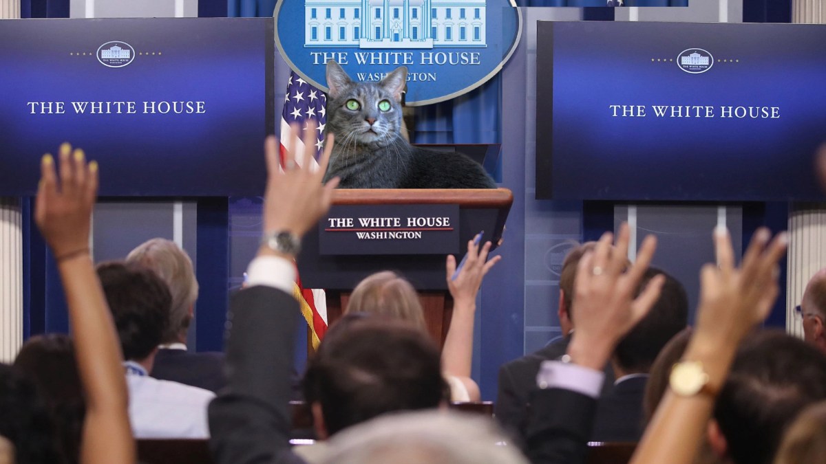 Twitter Censors President Buddy As Votes Are&nbsp;Tallied