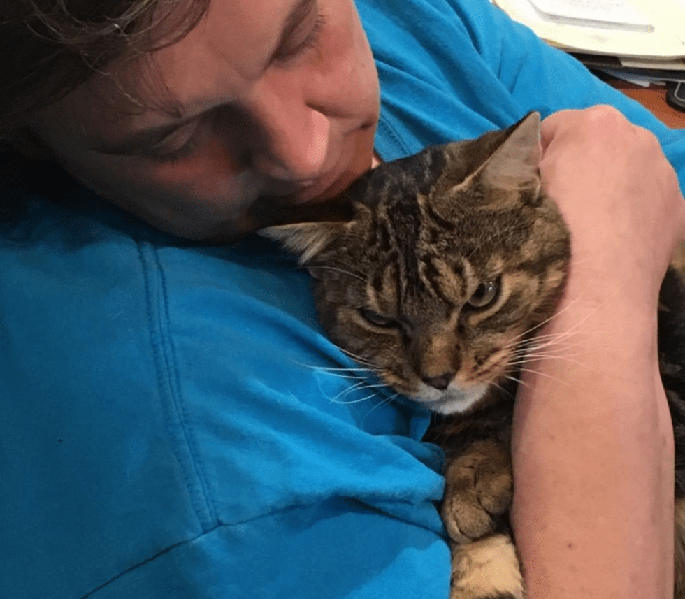 Screenshot_2020-11-13 Riggi Rescue ( riggirescue) • Instagram photos and videos