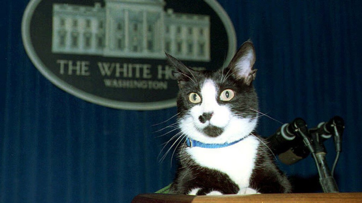 This Presidential Pet Stuff Just Gets Weirder And&nbsp;Weirder