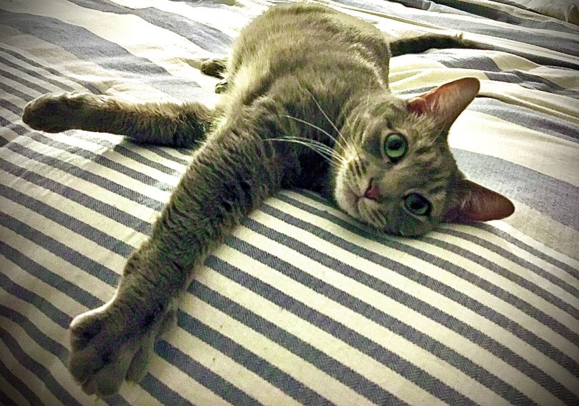 2FCDCAEB-2EB1-427B-B340-D4003AB9D8AB