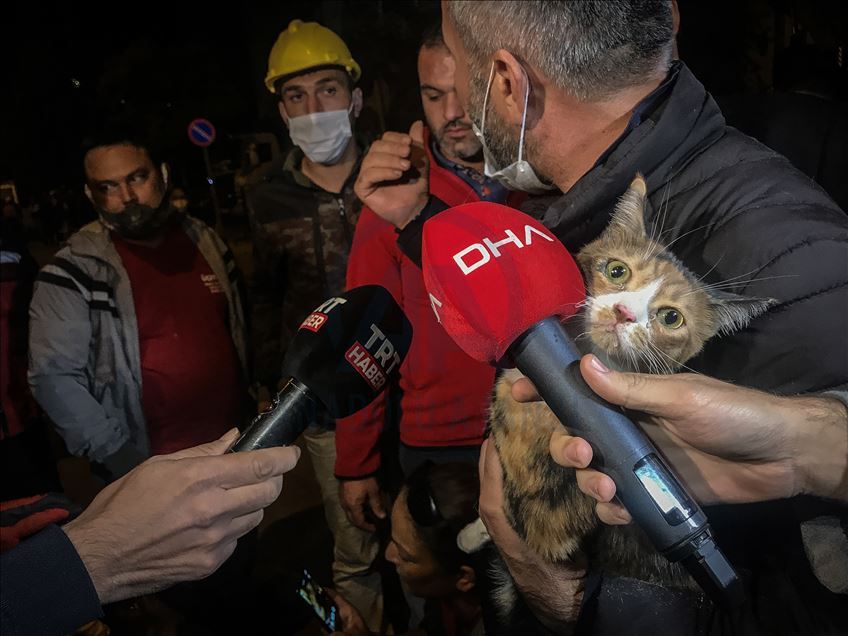 catrescueizmir