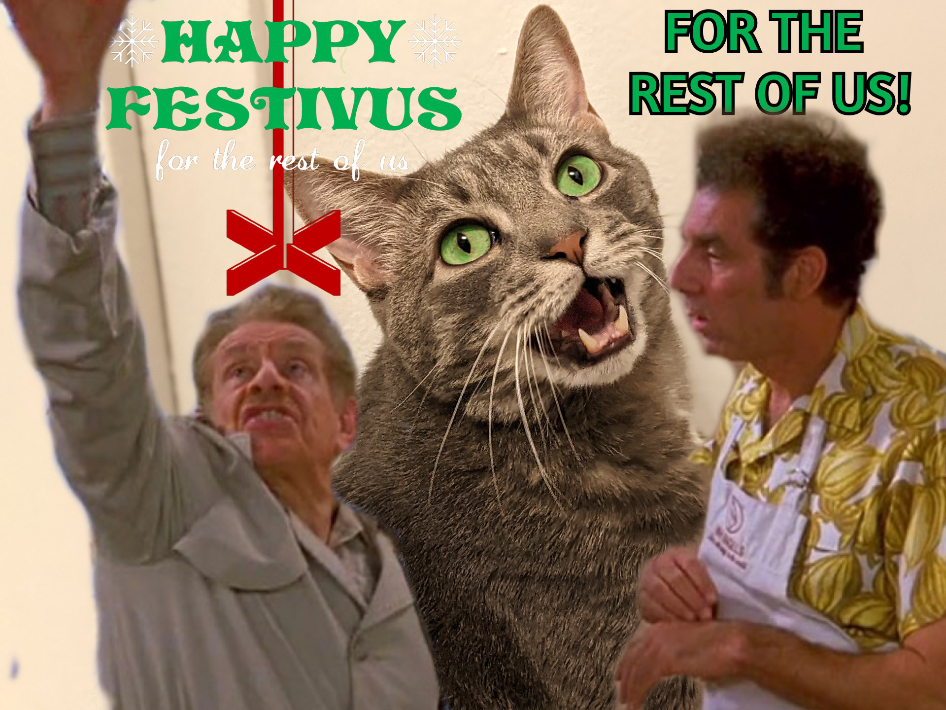 festivusbud