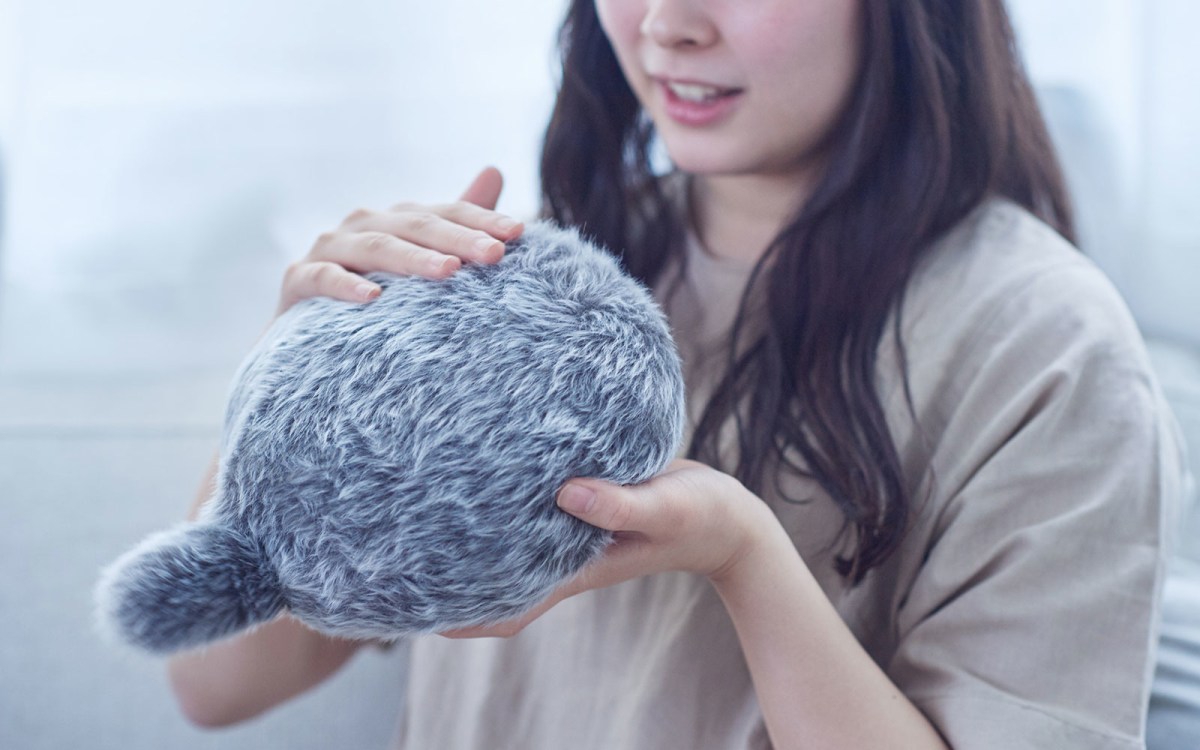 Dude, The Robots REALLY ARE Coming For&nbsp;Cats!