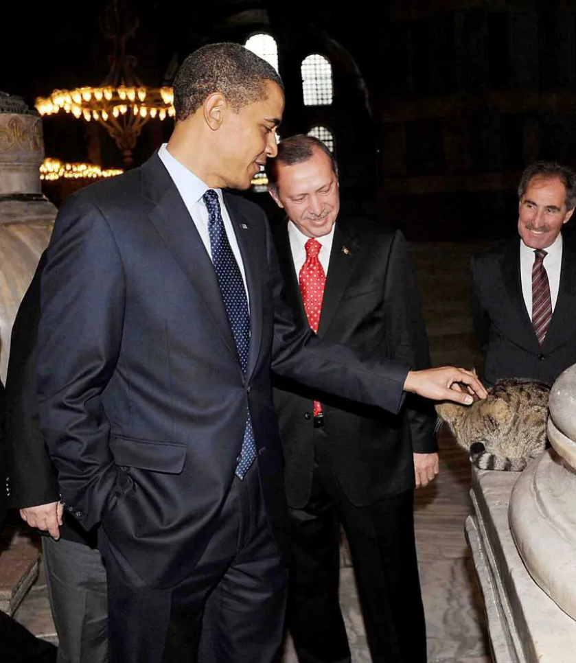 Screenshot_2020-12-10 2-5 png (WEBP Image, 860 × 990 pixels) — Scaled (97%)