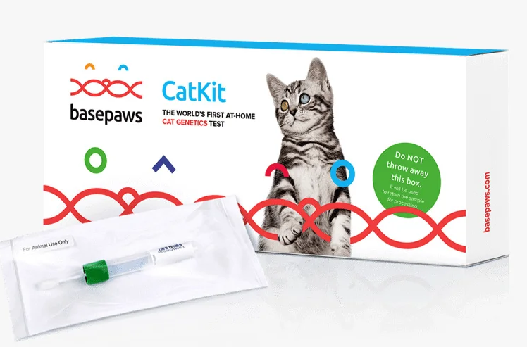 Screenshot_2020-12-16 Basepaws-cat-kit-sample jpg (WEBP Image, 974 × 731 pixels)