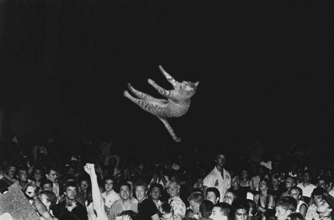 stagedive