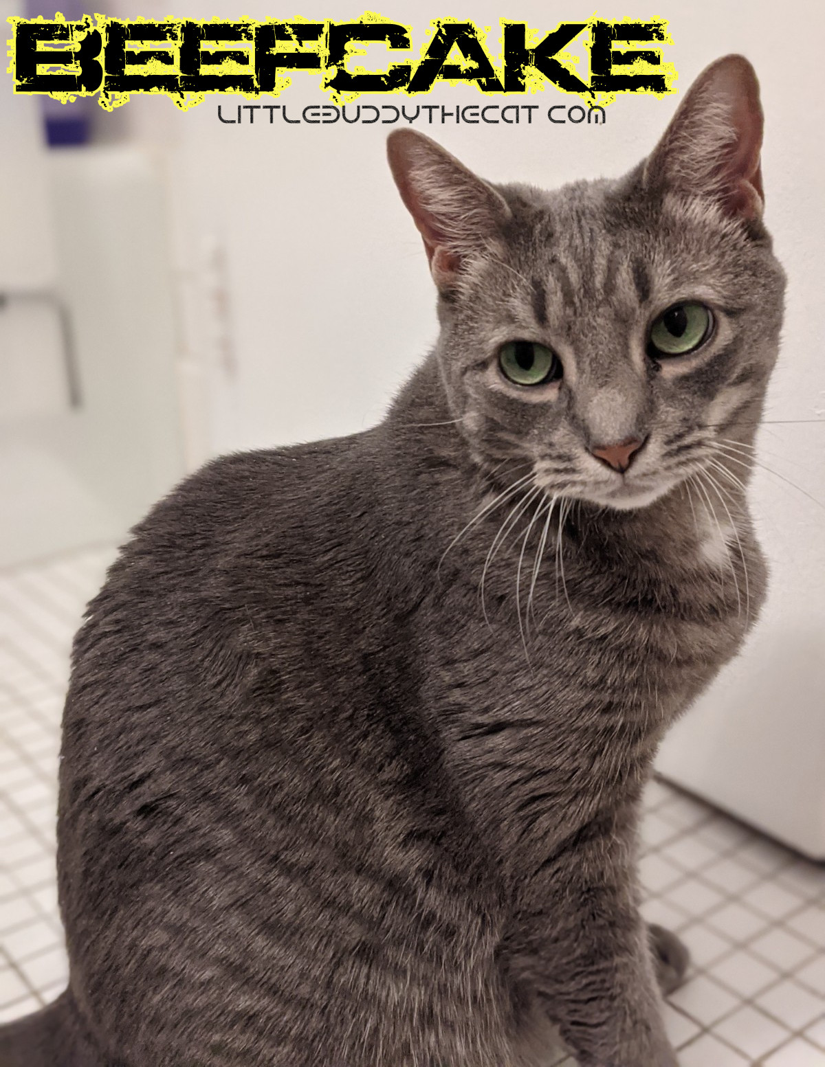 buddy_jan2021_beefcake