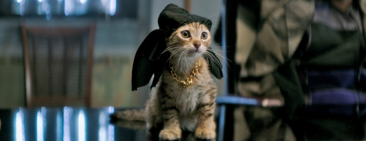 Ruh Roh: As Pet Thefts Rise, Cops Advise Against Posting Photos&nbsp;Online