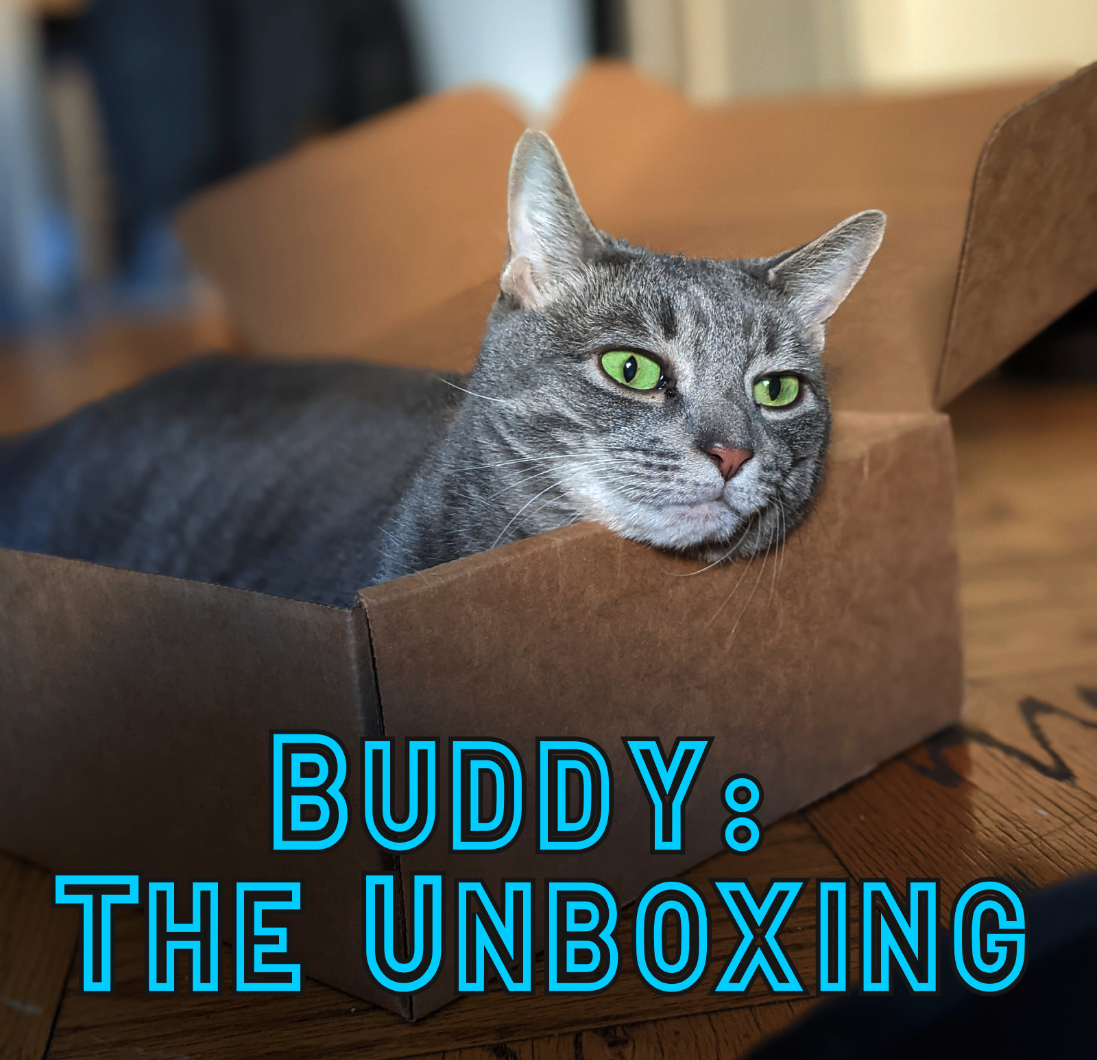 Buddy: The Unboxing
