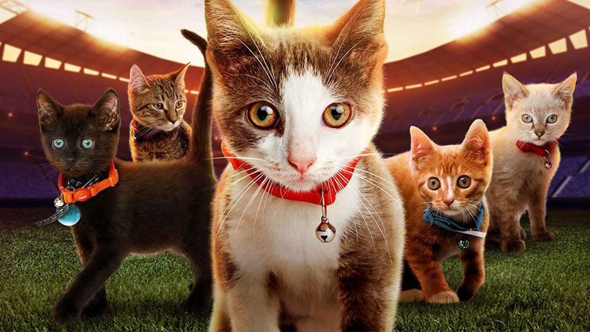 Kitten Bowl VIII Is&nbsp;Today!