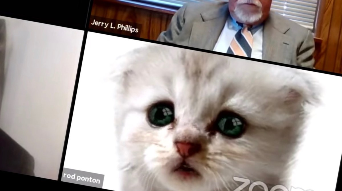 Lawyer Attends Virtual Court Hearing As A Kitten, Thanks To Cam&nbsp;Filter