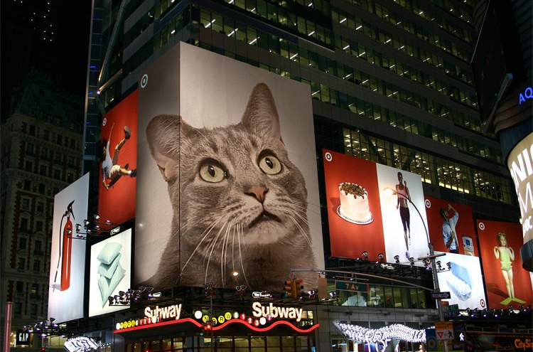 Buddy In Space: Chapter 1: Space-Time for&nbsp;Springers