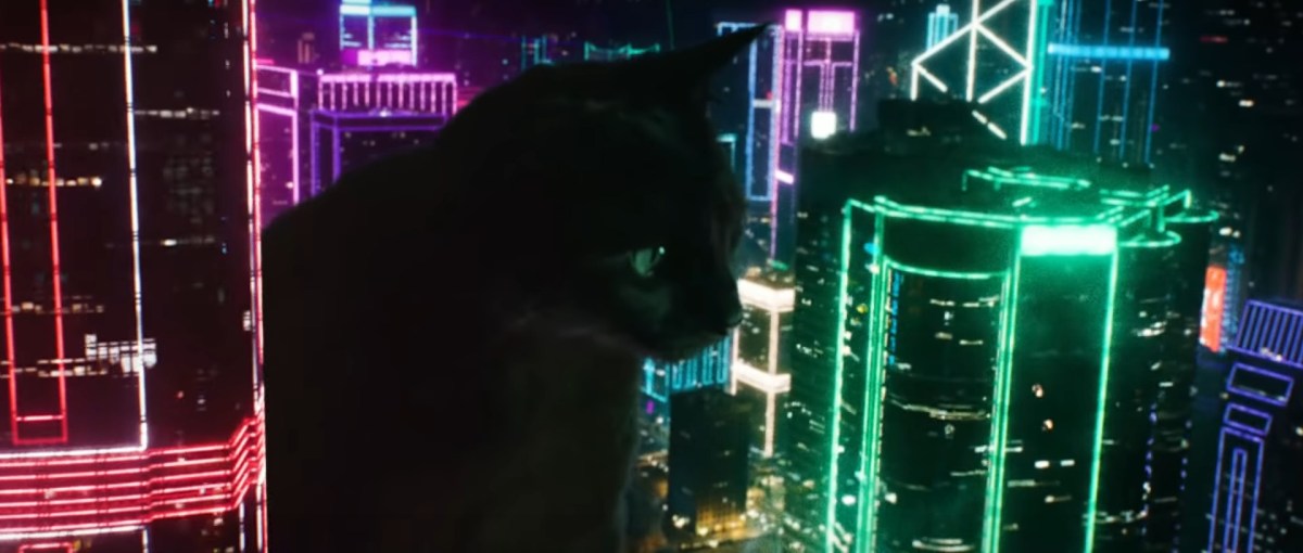 Youtuber Puts His Cat In Godzilla VS King Kong&nbsp;Trailer
