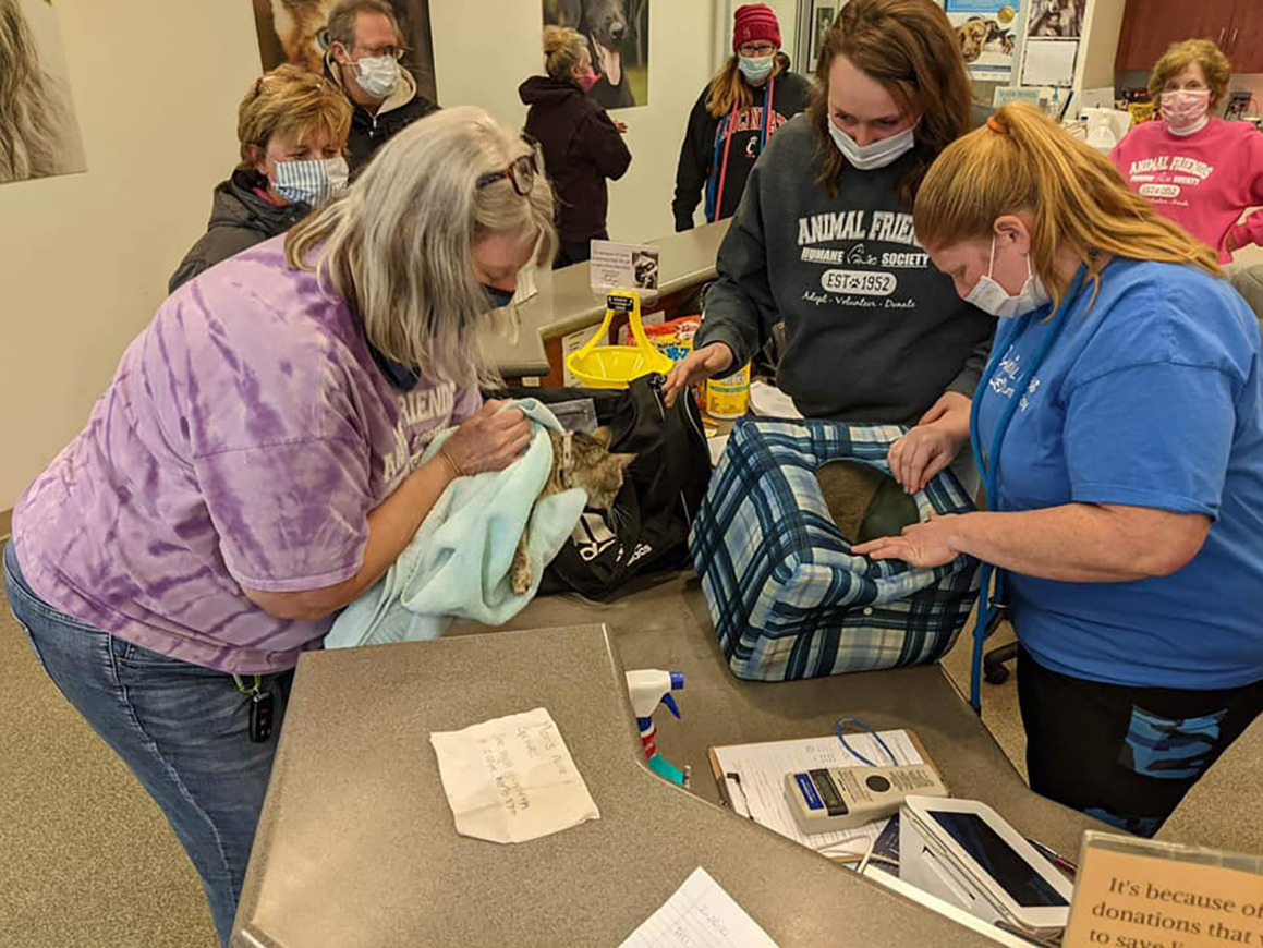 Animal Friends: Mom and Kittens Found Inside Bag