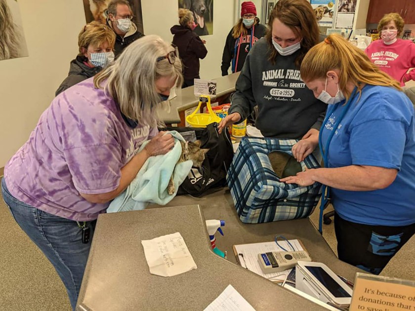 Animal Friends: Mom and Kittens Found Inside Bag