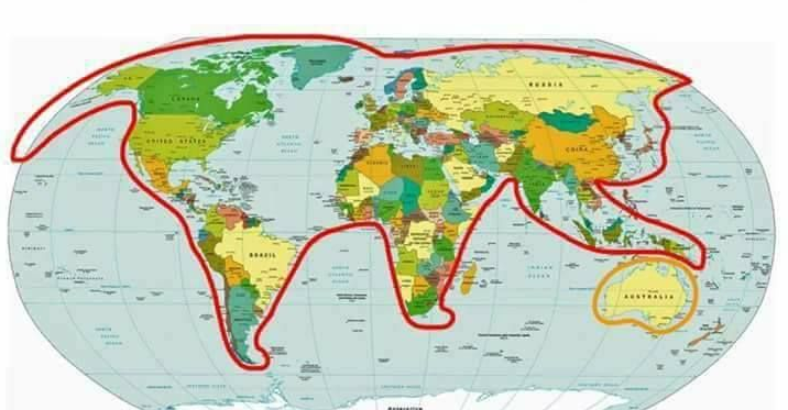 Cat Performs Record 26 Tricks In A&nbsp;Minute