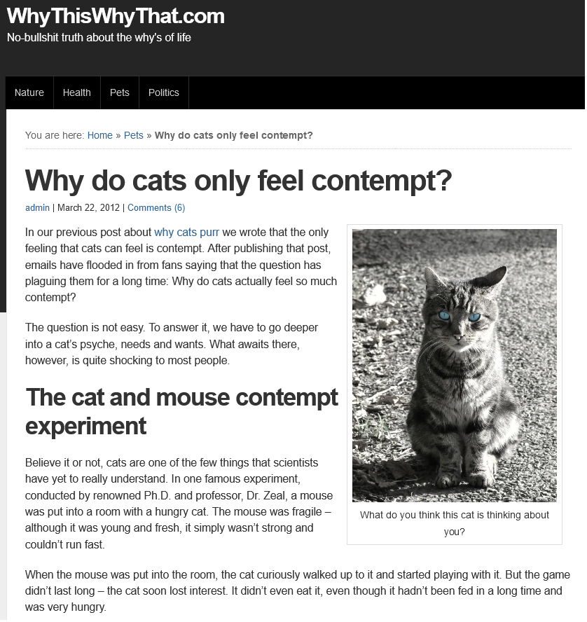 Screenshot_2021-02-25 Why do cats only feel contempt