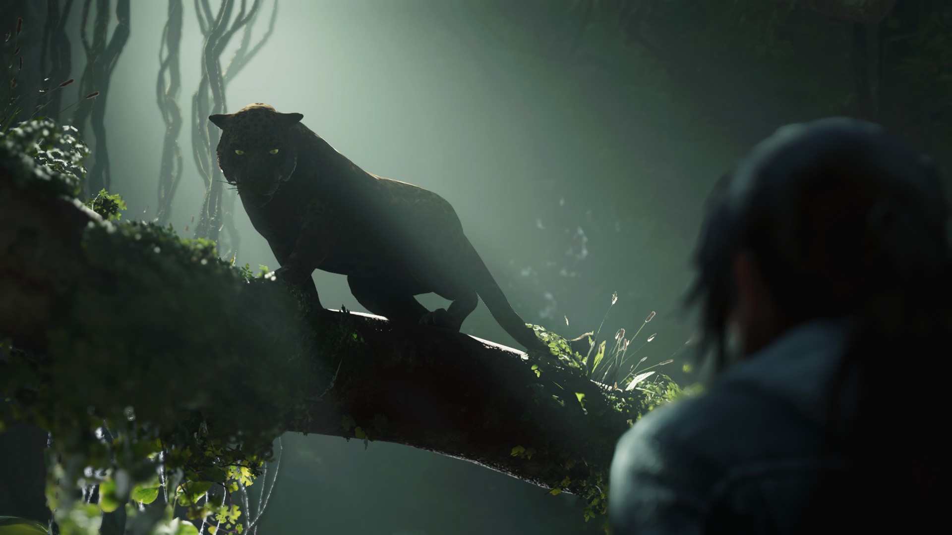 Jaguar of the Tomb Raider