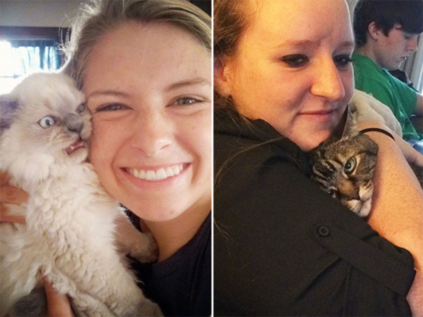 nintchdbpict000261274812