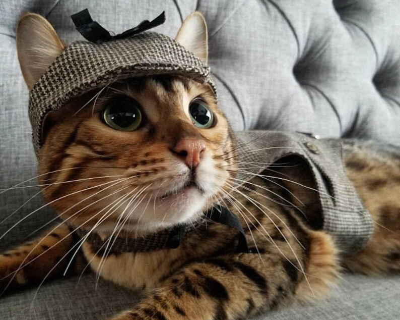 Elementary, my dear Watson