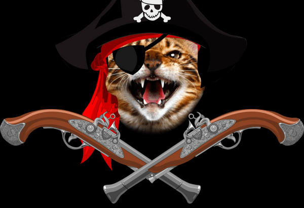 I’m A Pirate!&nbsp;Argh!!