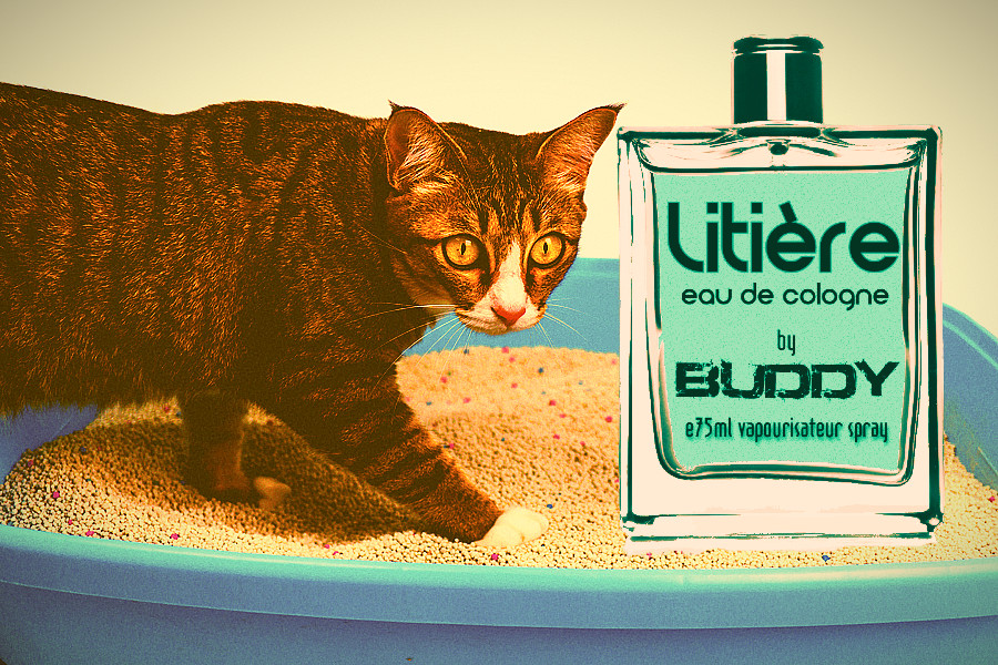 香水 :Buddy eau de parfum