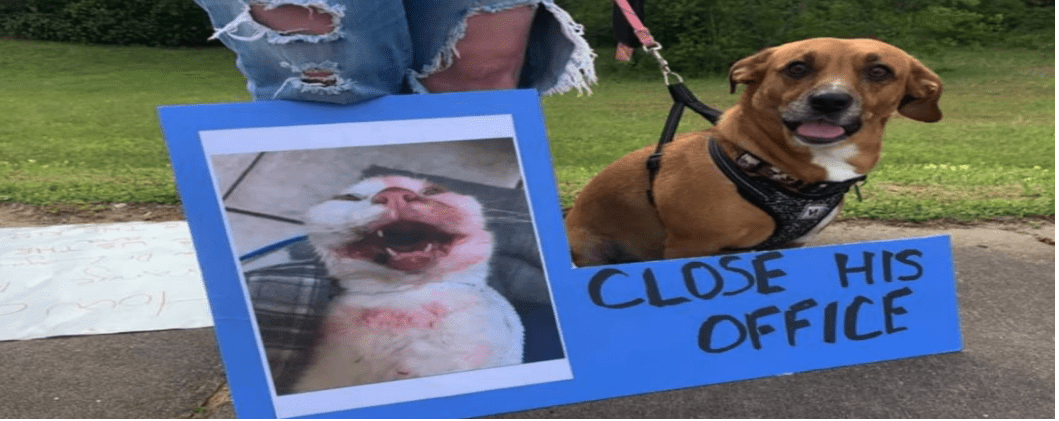 Vet’s Lawyer: He Wasn’t Abusing A Cat, He Was ‘Appearing To Abuse A&nbsp;Cat’