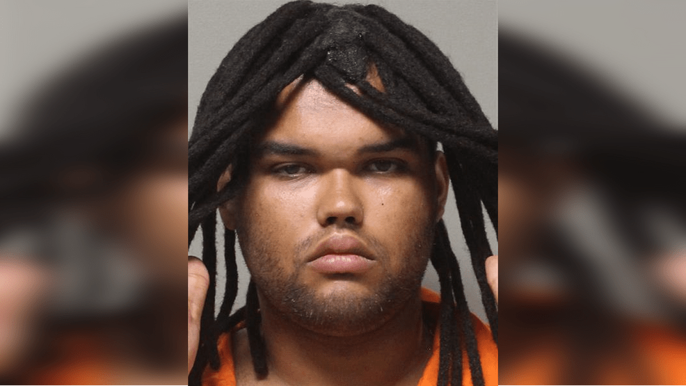 Why We Need Stronger Animal Protection Laws: Example&nbsp;#233