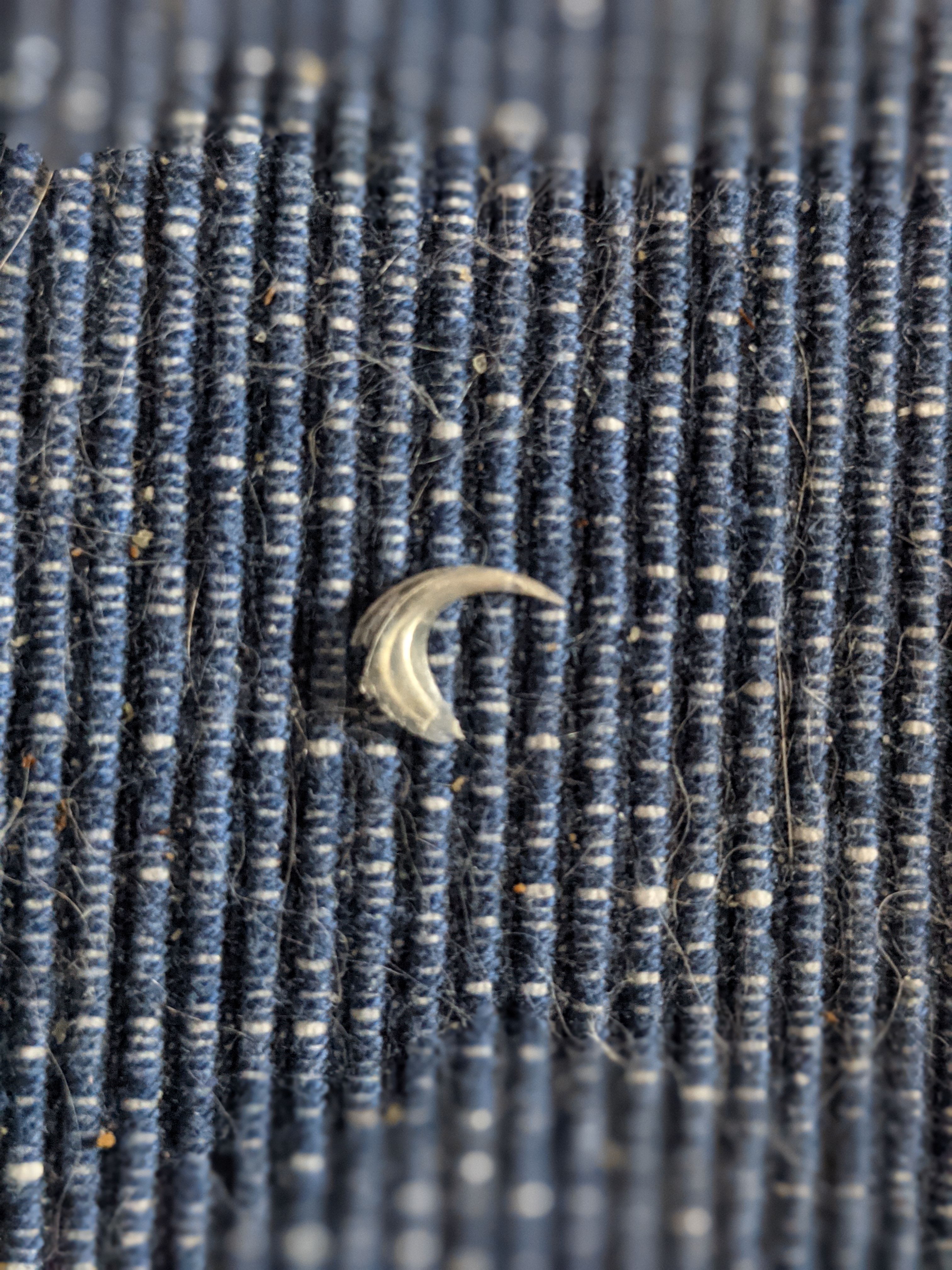 PXL_20210613_221950049.PORTRAIT