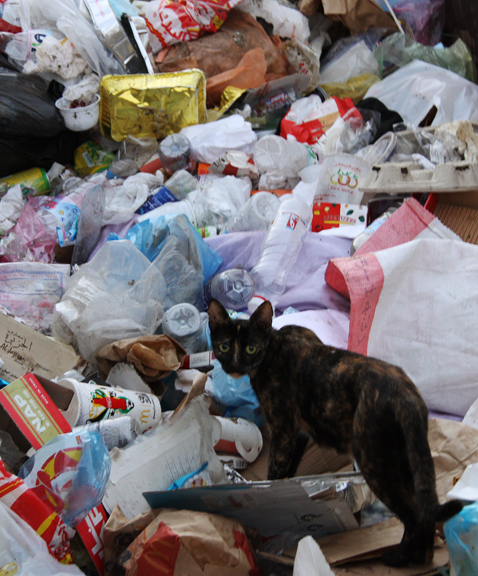 "Now that's good eatin'."