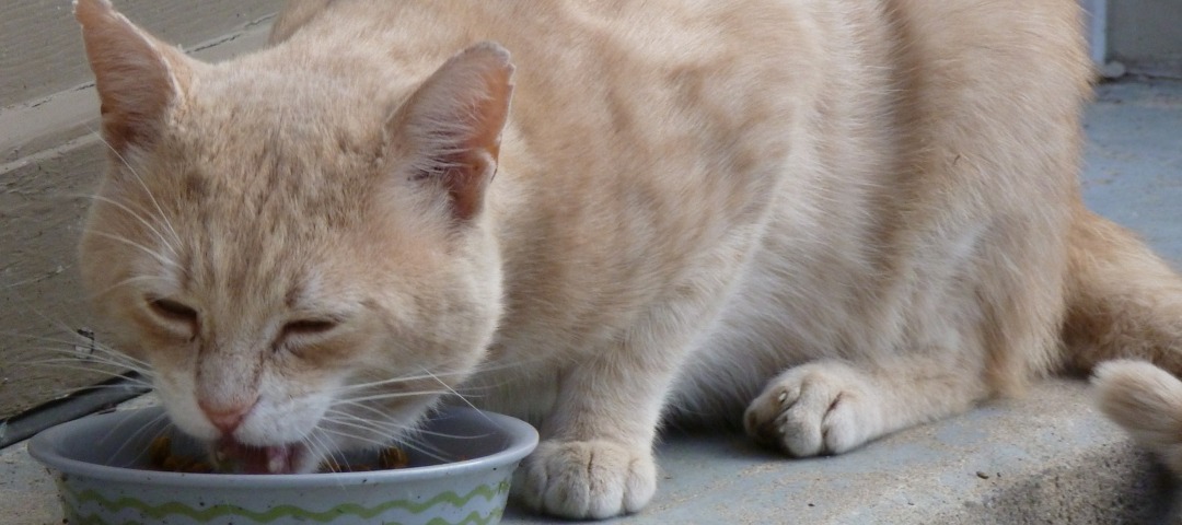 Day Five: The Nice&nbsp;Lady