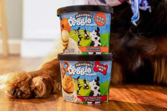 Ben &amp; Jerry's Doggie Desserts
