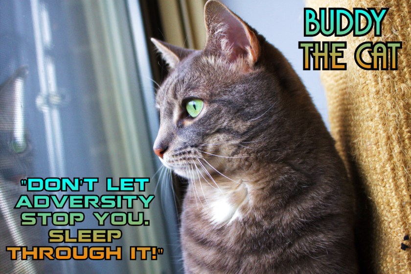 buddy_adversityquote