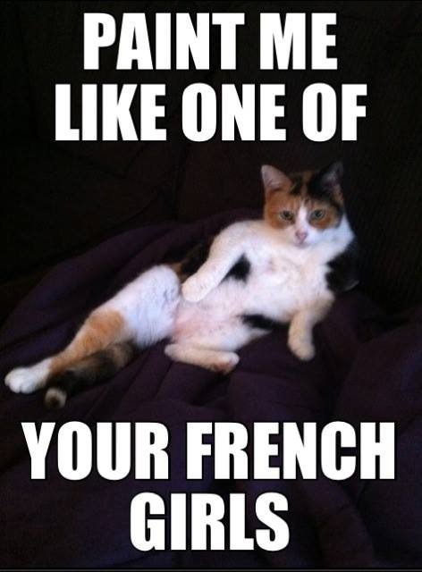 Calico+100+oc+walked+in+on+my+cat+sitting+like_c757ee_4982303