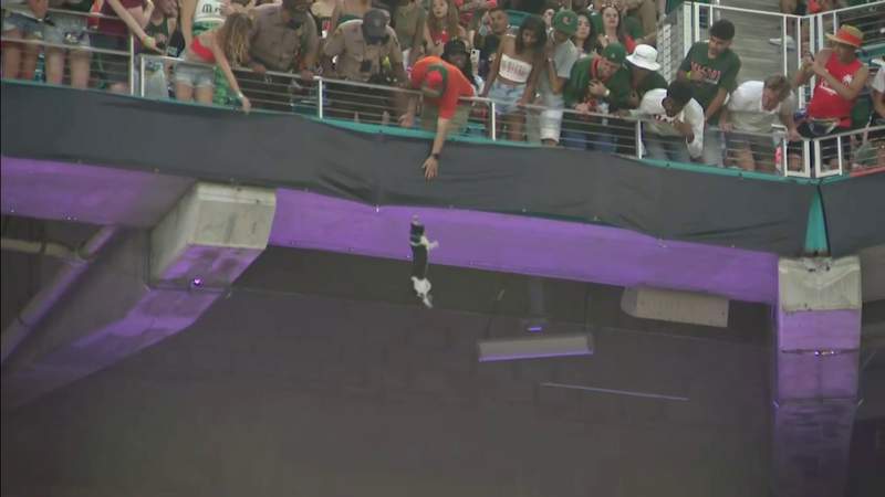 ‘Merica Saves A Cat On The 20th Anniversary of&nbsp;9/11