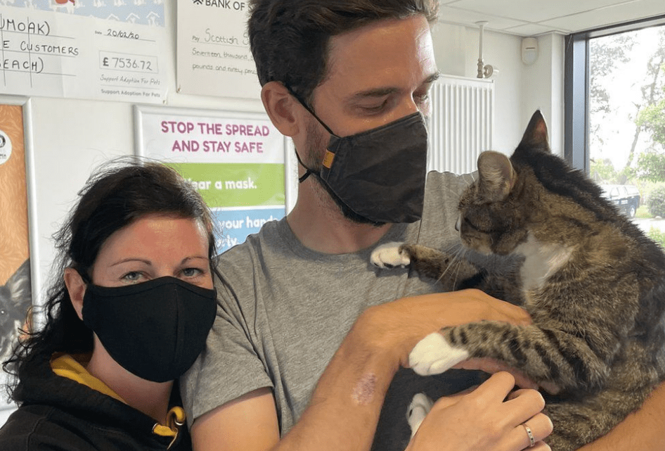 Here Are Some Cats Singing The Imperial March From Star Wars, Plus Some Feel-Good Cat-Human&nbsp;Reunions