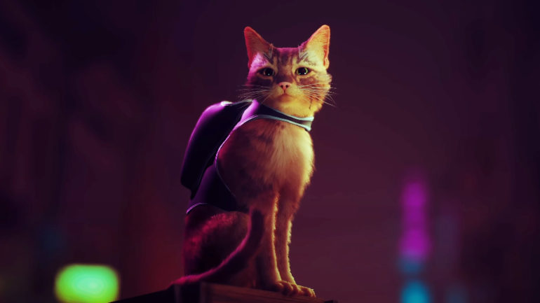 Stray’s Feline Protagonist Is Picture&nbsp;Perfect