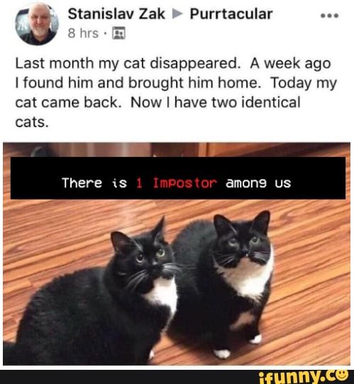 94e5e16b6f87dd2d2089ee202767fe6b