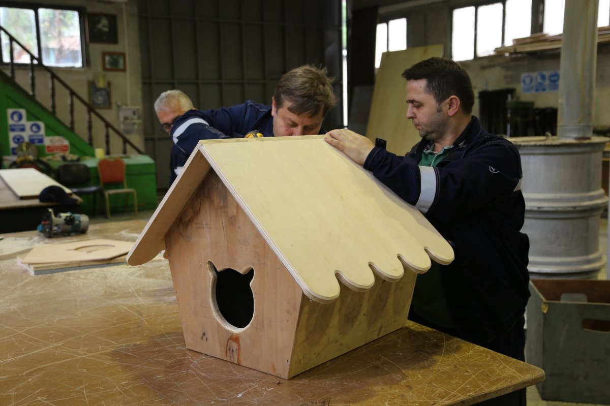 The Cat Houses of Istanbul: ‘Everybody Accepts Cats Must Have Their Own Life Spaces In The&nbsp;City’