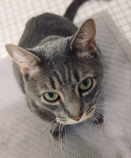 main-qimg-71545019fd341552e20753a1743f261f