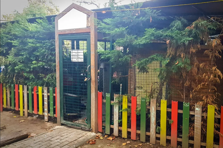 Mistik Park cat house