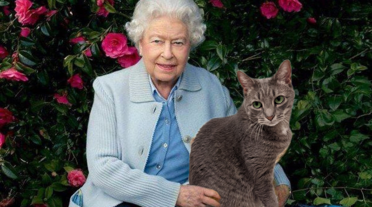 Queen Elizabeth Creates Buddy 1st Earl of&nbsp;Budderset