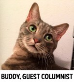 buddycolumn