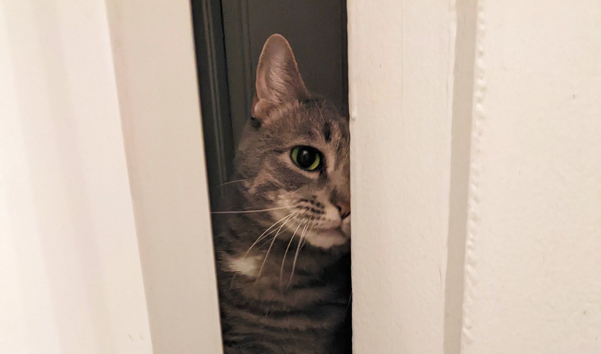 Seven Thousand And&nbsp;One!