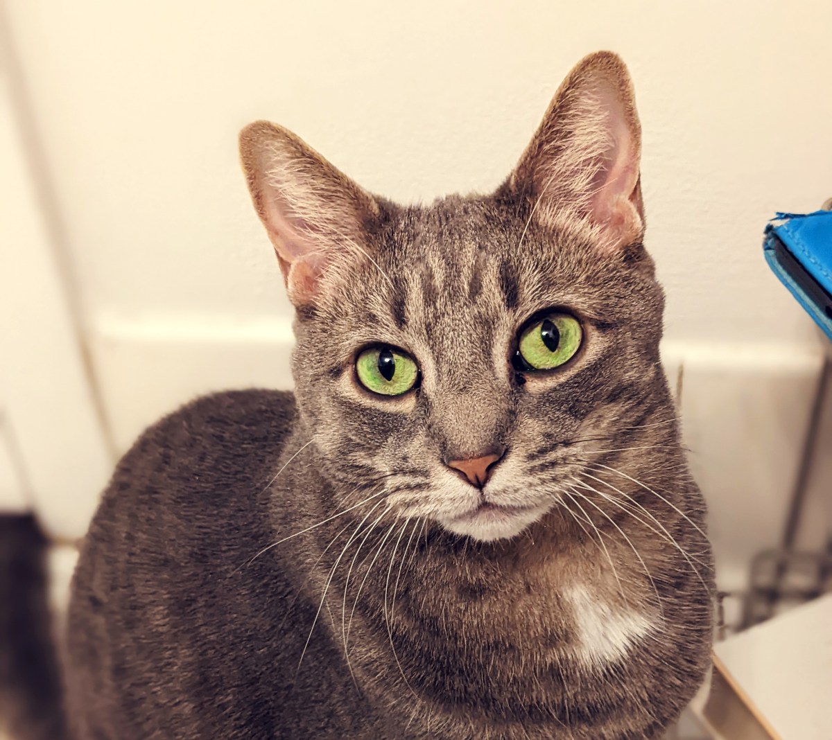 Oh Big Buddy, Why Have You Abandoned&nbsp;Me?